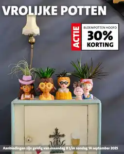 Intratuin Bloempotten hoofd aanbieding