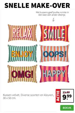 Intratuin Kussen velvet aanbieding