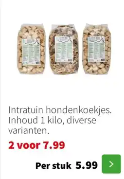 Intratuin Intratuin hondenkoekjes aanbieding
