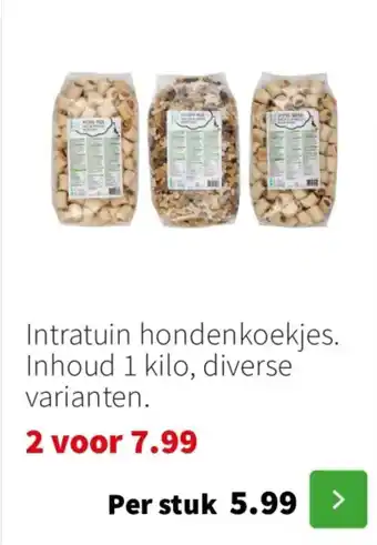 Intratuin Intratuin hondenkoekjes aanbieding