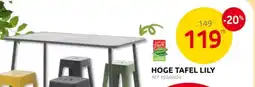 Brico Hoge Tafel Lily aanbieding