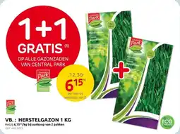 Brico Herstelgazon aanbieding