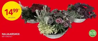 Brico Najaarsmix aanbieding