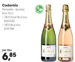 Hanos Codorníu aanbieding