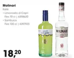 Hanos Molinari aanbieding