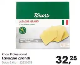 Hanos Knorr Professional Lasagne grandi aanbieding
