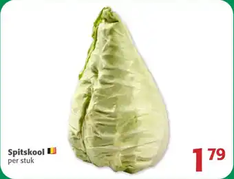 Comarkt Spitskool aanbieding