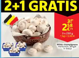 Cora Witte champignons aanbieding