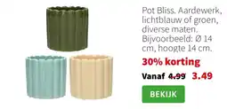 Intratuin Pot Bliss aanbieding
