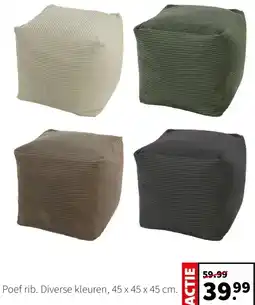 Intratuin Poef rib aanbieding