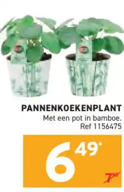 Trafic Pannenkoekenplant aanbieding