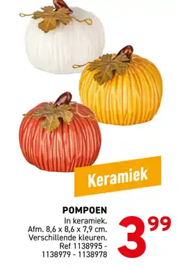 Trafic Pompoen aanbieding