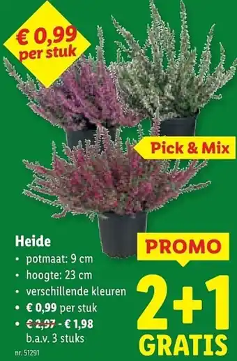 Lidl Heide aanbieding