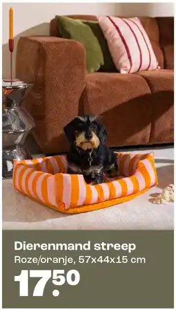 Kwantum Dierenmand streep aanbieding