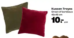 Kwantum Kussen Troyes aanbieding