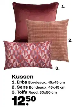 Kwantum Kussen aanbieding