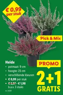 Lidl Heide • potmaat: 9 cm hoogte: 23 cm aanbieding