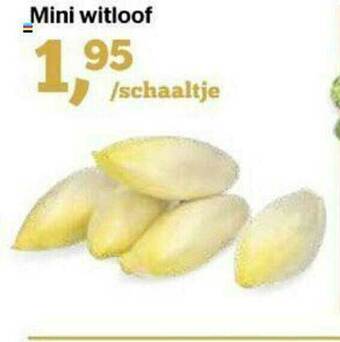 Spar Mini Witloof aanbieding