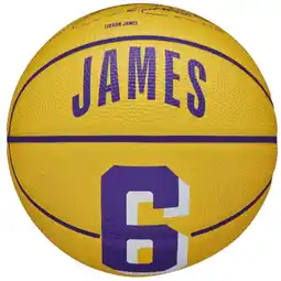 Decathlon Basketbal Wilson NBA Player Icon LeBron James Mini Ball aanbieding