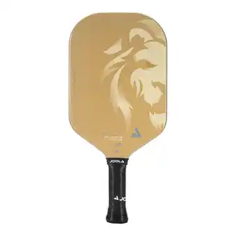 Decathlon Pickleball paddel Tyson McGuffin Magnus CAS 14 aanbieding
