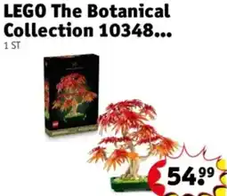 Kruidvat LEGO The Botanical Collection 10348 aanbieding
