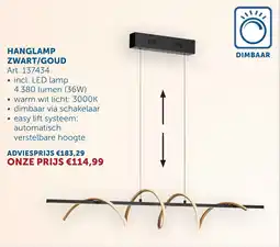Zelfbouwmarkt Hanglamp zwart/goud aanbieding
