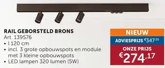 Zelfbouwmarkt Rail geborsteld brons aanbieding