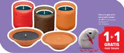 Carrefour Kaars in glas of in terracotta schaal aanbieding