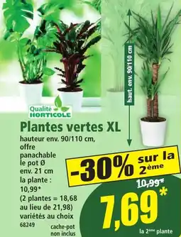 Norma Plantes vertes XL aanbieding