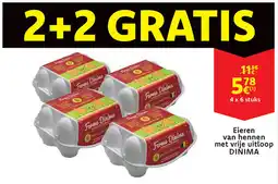 Cora Eieren van hennen met vrije uitloop dinima aanbieding