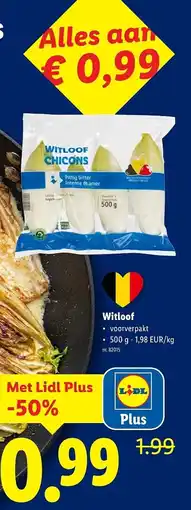 Lidl Witloof aanbieding