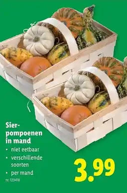 Lidl Sier pompoenen in mand aanbieding
