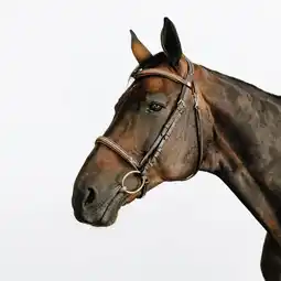 Decathlon Hoofdstel 580 voor paarden en pony's Franse neusriem leer stiksels bruin aanbieding