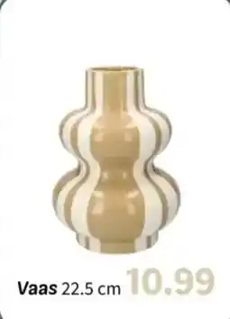 Wibra Vaas aanbieding