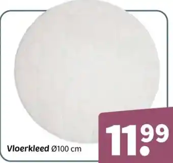Wibra Vloerkleed aanbieding