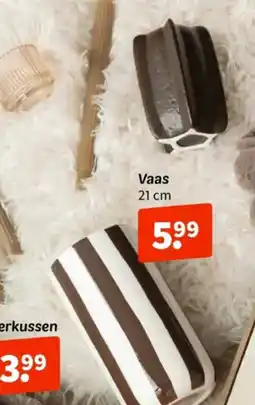 Wibra Vaas 21 cm aanbieding