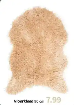 Wibra Vloerkleed aanbieding