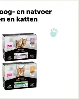 AVEVE Medium Adult Sensitive Skin droogvoer voor honden Zalm 14 kg aanbieding