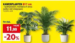 Hubo KAMERPLANTEN 017 cm aanbieding