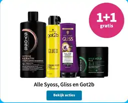 Plein.nl Alle Syoss, Gliss en Got2b aanbieding