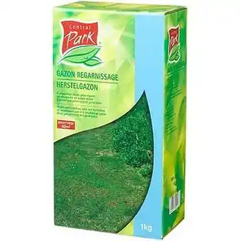 Brico Central Park graszaad ’Herstelgazon’ 500 g aanbieding