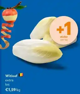OKay Witloof aanbieding