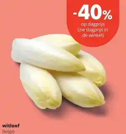 Spar witloof aanbieding