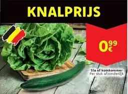 Cora Sla of komkommer aanbieding