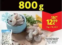 Cora Garnaalstaarten ocean pride aanbieding