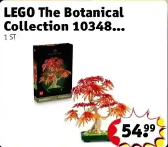 Kruidvat LEGO The Botanical Collection 10348 aanbieding