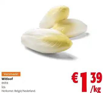 Colruyt Witloof extra los aanbieding