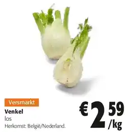 Colruyt Venkel aanbieding