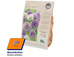 Action Bloembollen aanbieding
