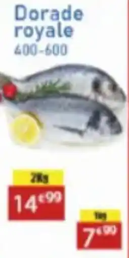 Tanger Markt Dorade royale 400-600 aanbieding